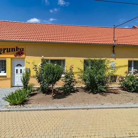 Guest house Berunka *